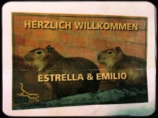 Hipsta richtig gedreht-511525990 (600 x 450)
